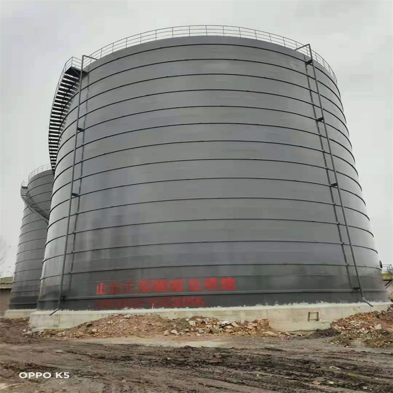 且末3万吨大型钢板库