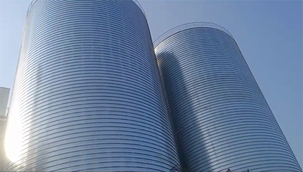 且末2座混凝土高架卷板仓